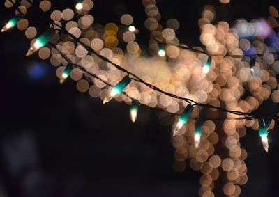 Close-up of illuminated string lights at night