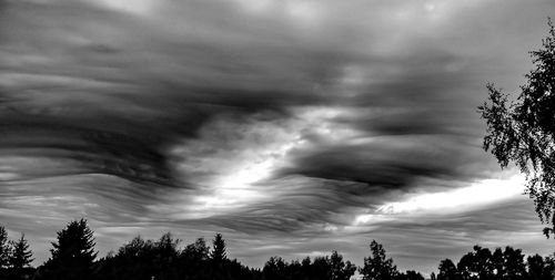 Low angle view of trees against cloudy sky