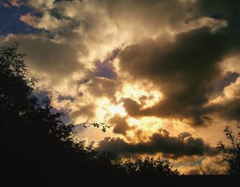 Silhouette trees against sky during sunset
