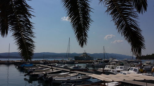 Boats moored in sea