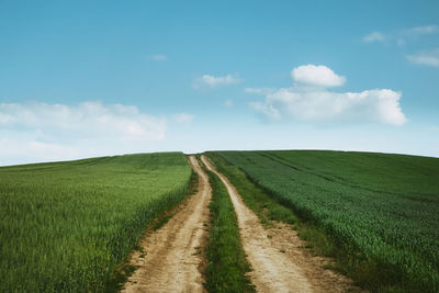 Scenic view of agricultural field against sky