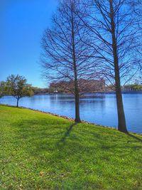 Bare trees on field by lake against sky