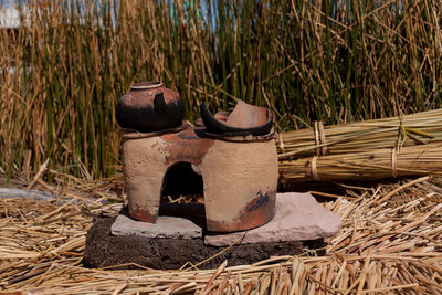 Close-up of shoes on field