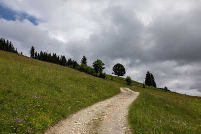 Road amidst field against sky