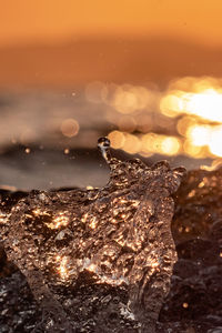 Close-up of water splashing against orange sky