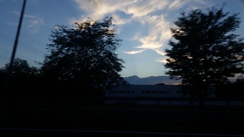 Silhouette trees against sky during sunset