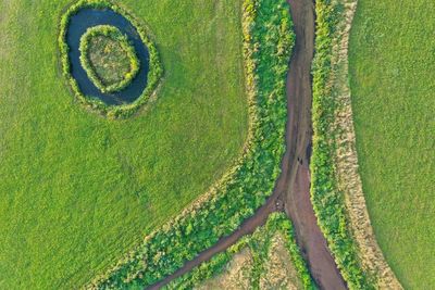 High angle view of grassy field