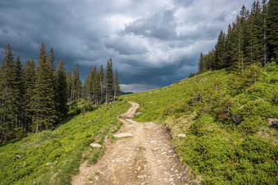 Panoramic view of landscape against sky