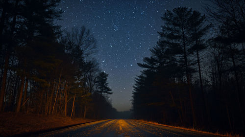 Road amidst trees against sky at night