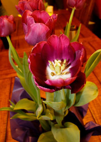 Close-up of tulip on table