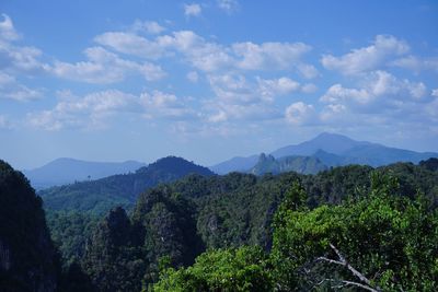 Scenic view of forest against sky