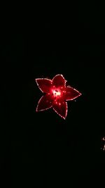 Close up of red star over black background