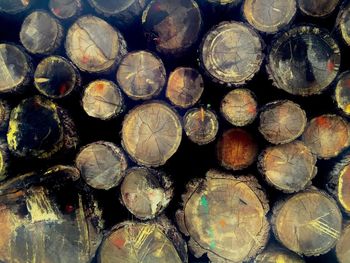 Full frame shot of logs