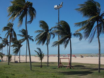 Palm trees on beach against clear sky