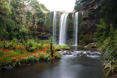 Scenic view of waterfall