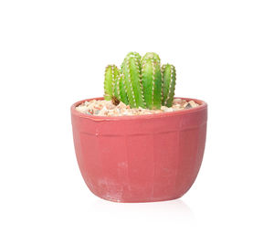 Close-up of strawberry over white background