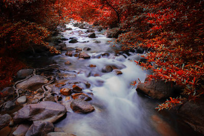 Stream flowing through rocks in forest during autumn