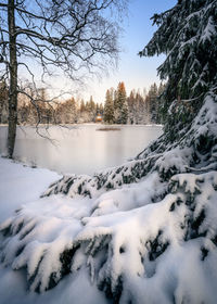 Snow covered tree by frozen lake against sky