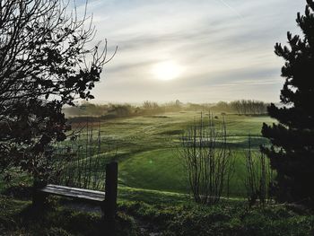 Scenic view of field against sky