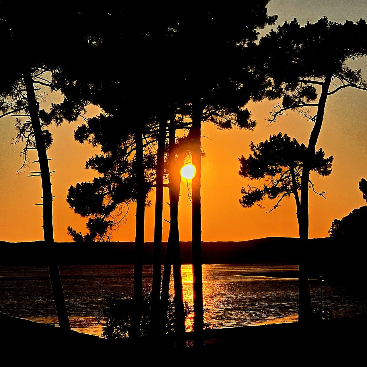 water, sunset, tree, sky, silhouette, beauty in nature, nature, plant, tranquility, sea, scenics - nature, tranquil scene, beach, evening, orange color, land, reflection, dusk, idyllic, no people, sun, travel destinations, sunlight, tropical climate, afterglow, outdoors, backlighting, palm tree, travel, vacation, trip, holiday, tourism, environment, cloud