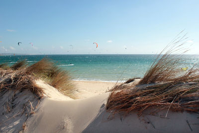 Scenic view of beach against clear sky