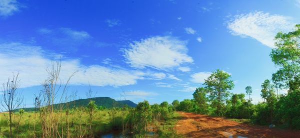 Panoramic view of trees against sky