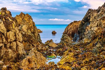 Scenic view of sea against sky