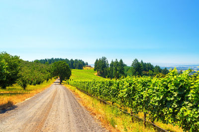 Scenic view of landscape against clear sky