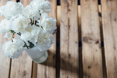 Close-up of white flowering plant on wood