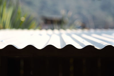 Close-up of leaf against blurred background