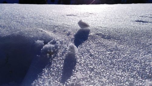 Close-up of frozen ice