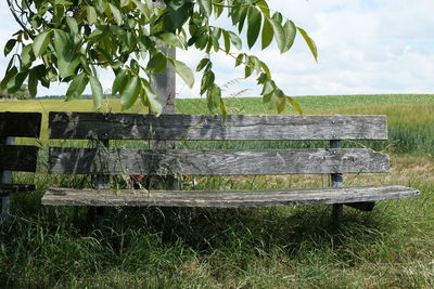 Bench on field by tree against sky