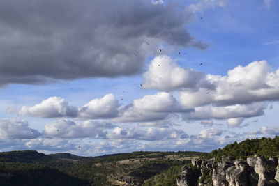 Birds flying over landscape against sky