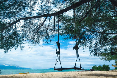 Man photographing by sea against trees