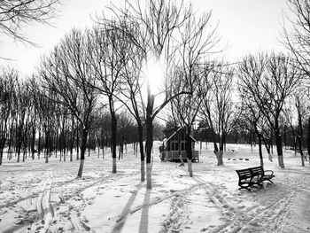 Bare trees on snow covered field against sky