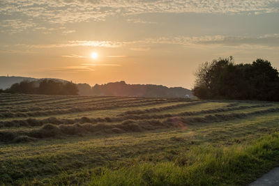 Scenic view of field against sky during sunset