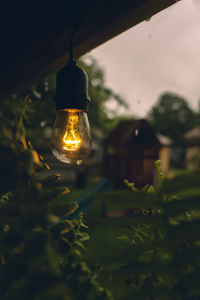 Close-up of illuminated light bulb