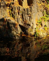 Scenic view of waterfall