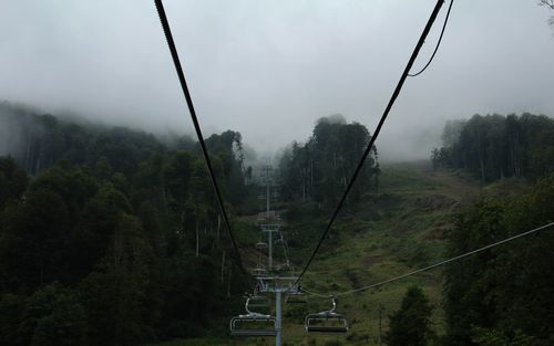 Overhead cable car amidst trees in forest against sky