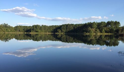 Scenic shot of reflection of trees in calm lake