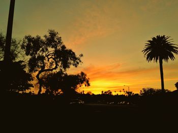 Silhouette trees against sky during sunset