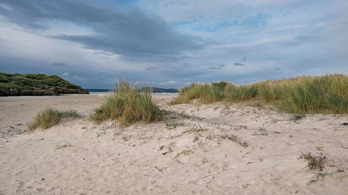 Scenic view of beach against sky