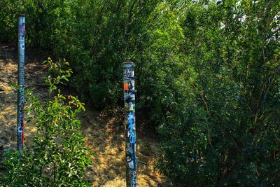 High angle view of information sign amidst trees in forest
