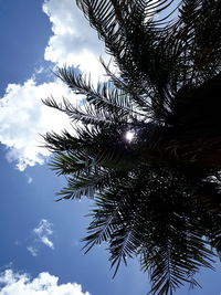 Low angle view of palm tree against sky