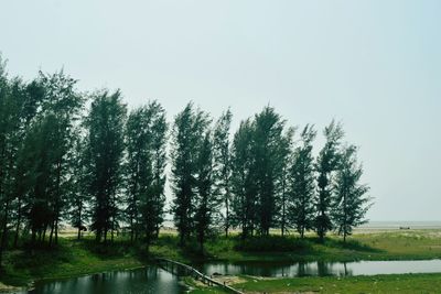 Scenic view of lake against clear sky