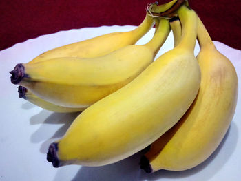 Close-up of yellow fruit against white background