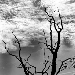 Low angle view of bare trees against cloudy sky