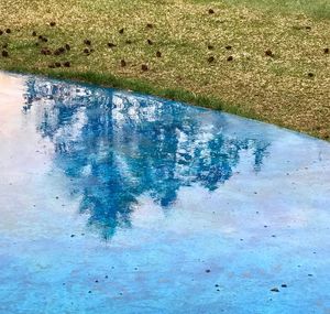 High angle view of swimming pool