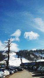 Bare trees against cloudy sky