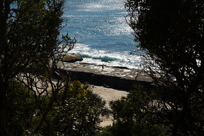 High angle view of trees by sea